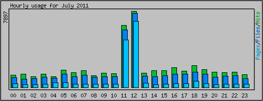 Hourly usage