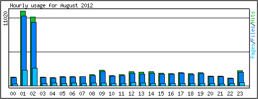 Hourly usage