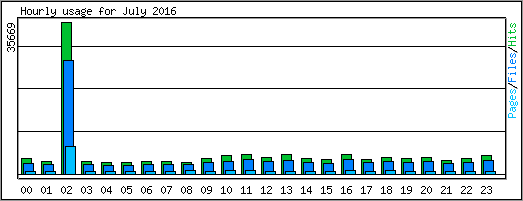 Hourly usage