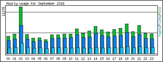 Hourly usage
