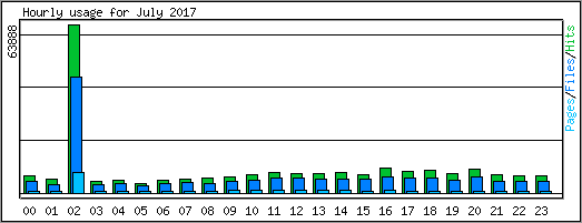 Hourly usage