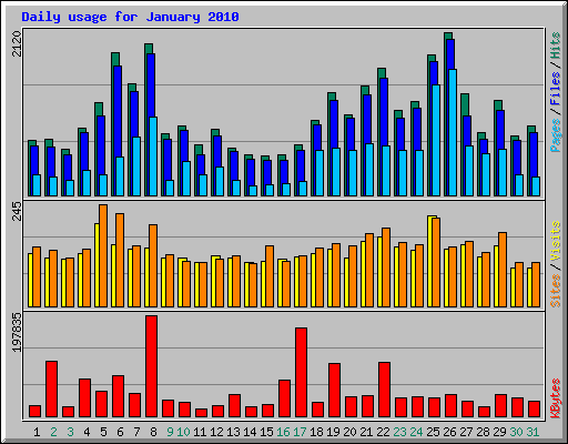 Daily usage for January 2010