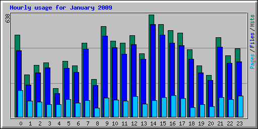 Hourly usage for January 2009