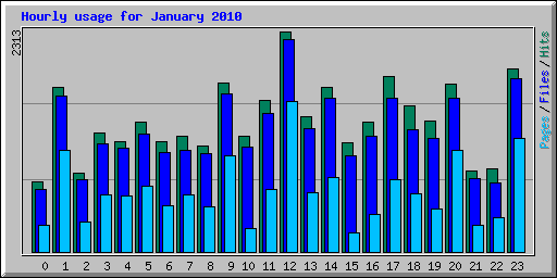 Hourly usage for January 2010