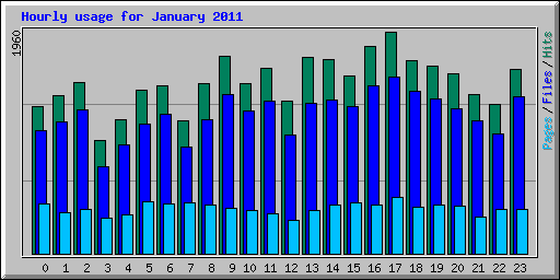 Hourly usage for January 2011